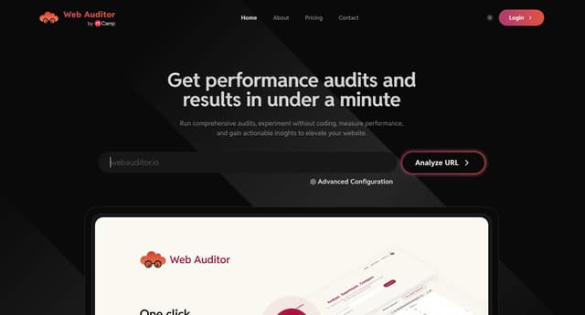 Screenshot of Web Auditor (rtCamp)